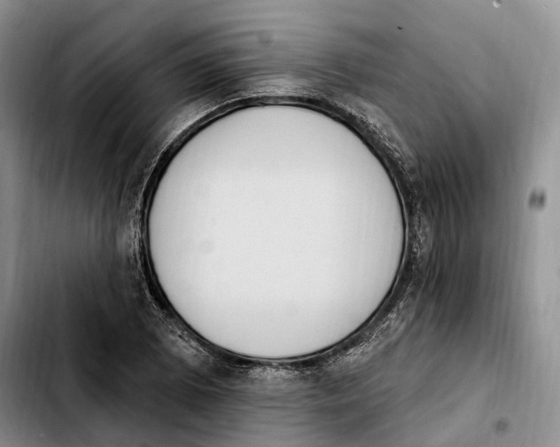 X0000103951073200810101433