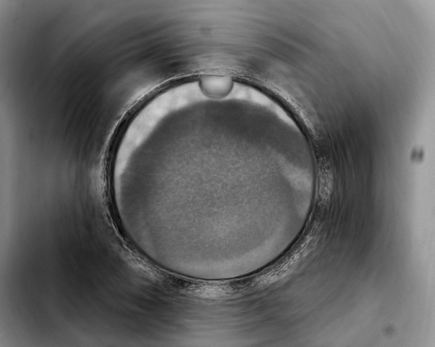 X0000103951074200810101433