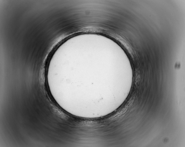 X0000103951075200810101433