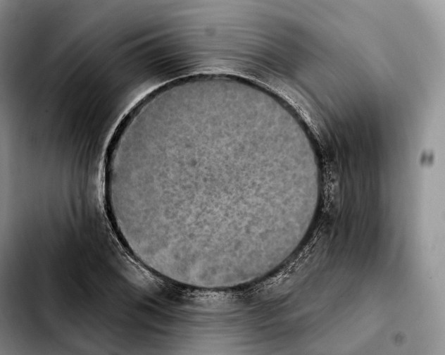 X0000103951076200810101433