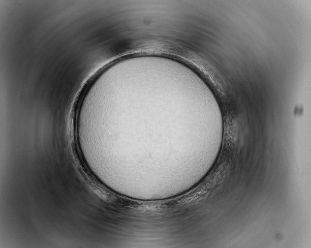 X0000103951078200810101433