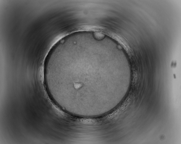 X0000103951079200810101433