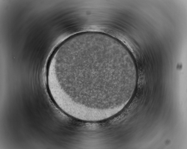 X0000103951080200810101433