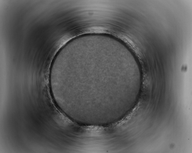 X0000103951081200810101433