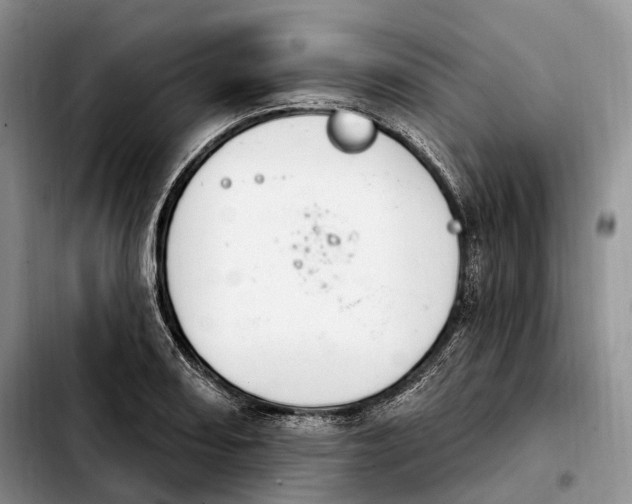 X0000103951082200810101433