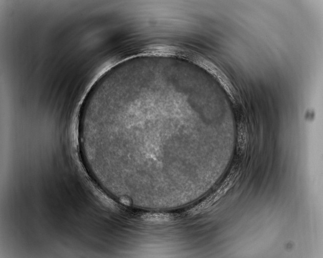 X0000103951083200810101433