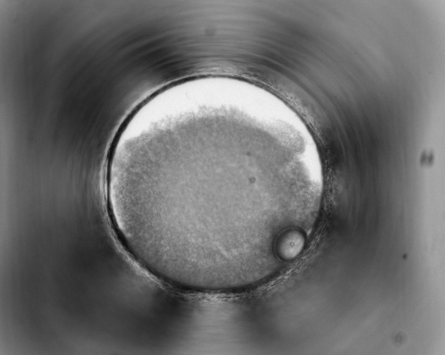 X0000103951084200810101433