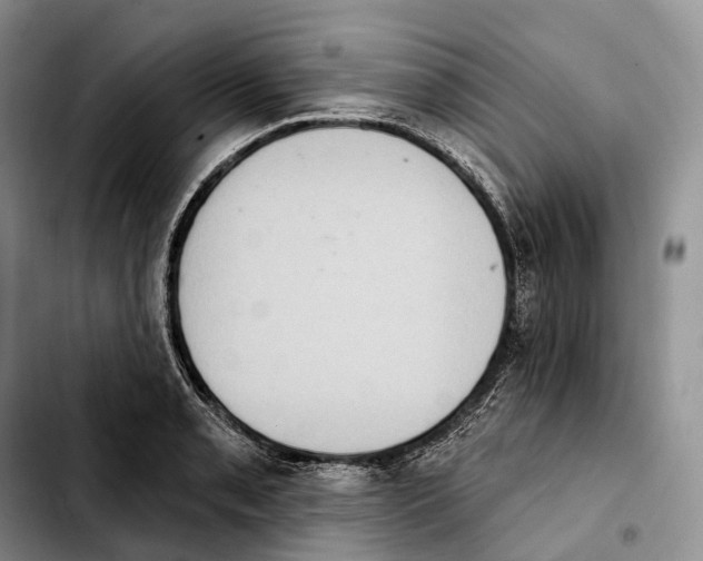 X0000103951085200810101433