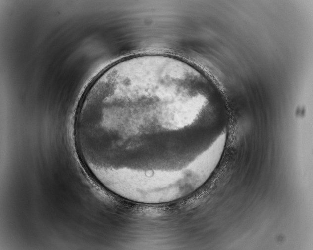 X0000103951086200810101433