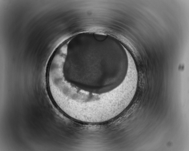 X0000103951087200810101433