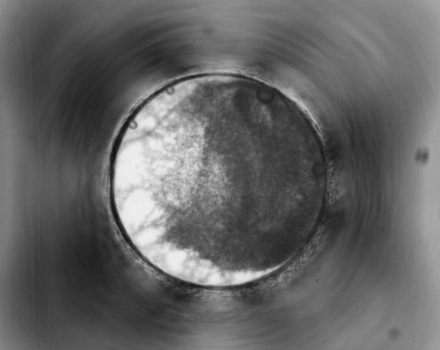 X0000103951088200810101433