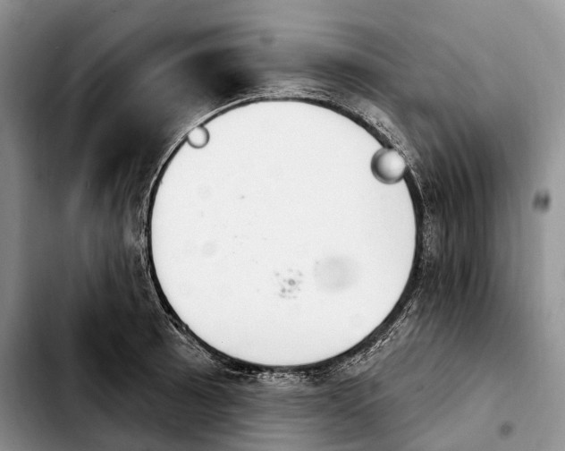 X0000103951089200810101433