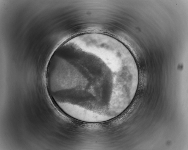 X0000103951090200810101433