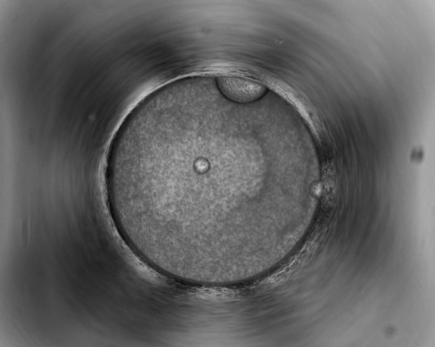 X0000103951091200810101433