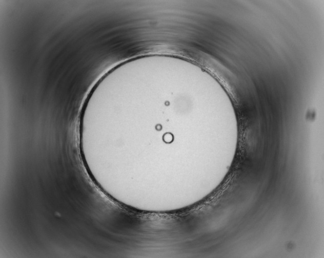 X0000103951092200810101433