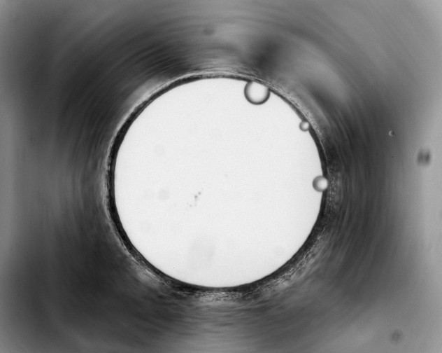 X0000103951093200810101433