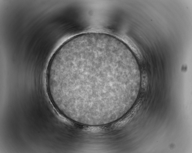 X0000103951094200810101433