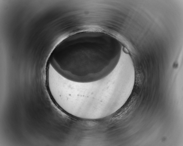 X0000103951095200810101433