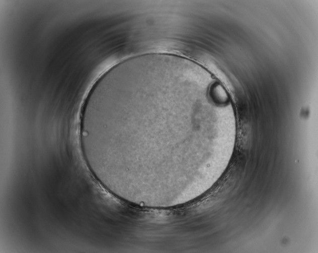 X0000103951096200810101433