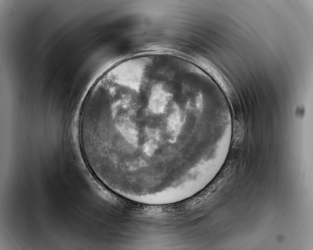 X0000103951098200810101433