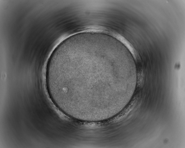 X0000103951099200810101433