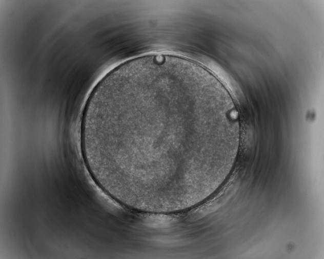 X0000103951100200810101433