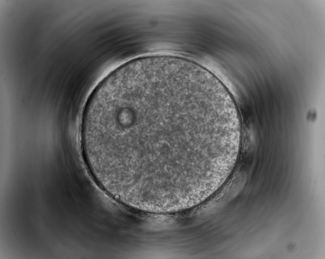 X0000103951101200810101433