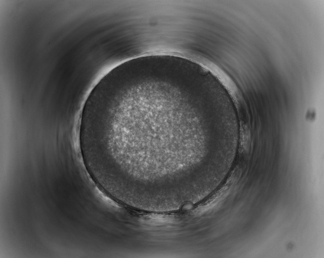 X0000103951102200810101433