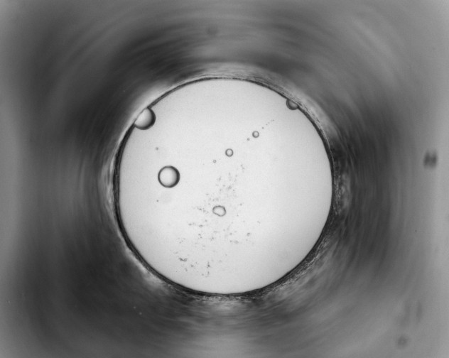 X0000103951103200810101432