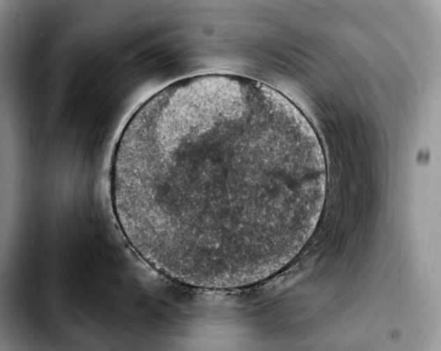 X0000103951104200810101432