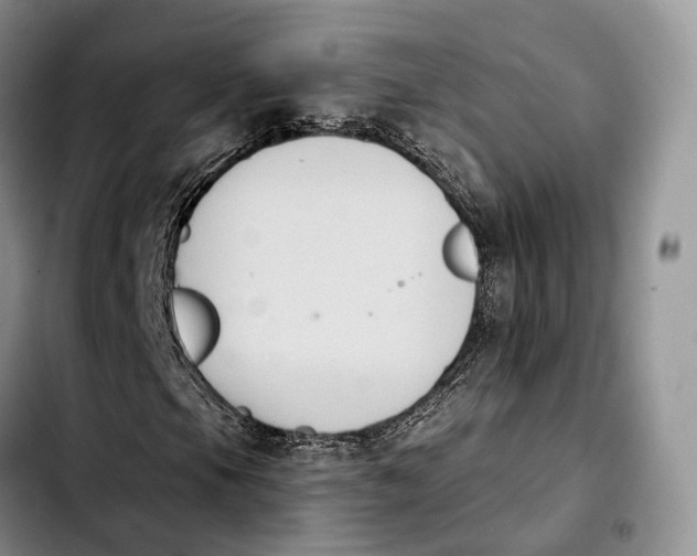 X0000103951105200810101432