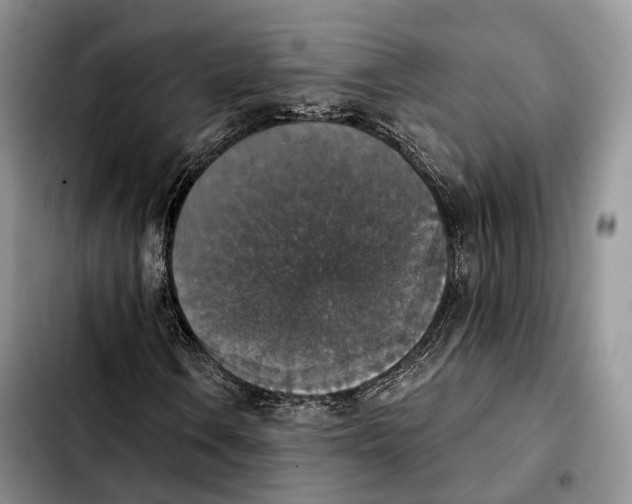 X0000103951106200810101432