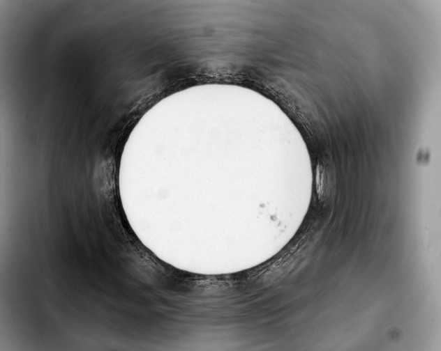 X0000103951107200810101432