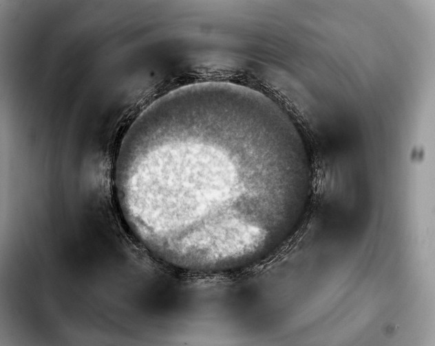 X0000103951108200810101432