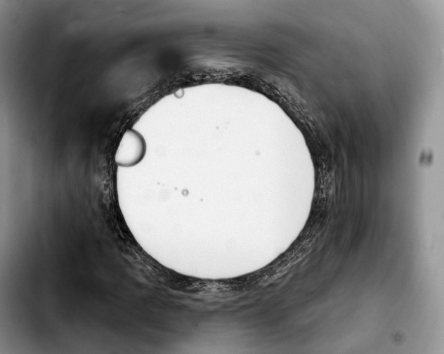 X0000103951109200810101432