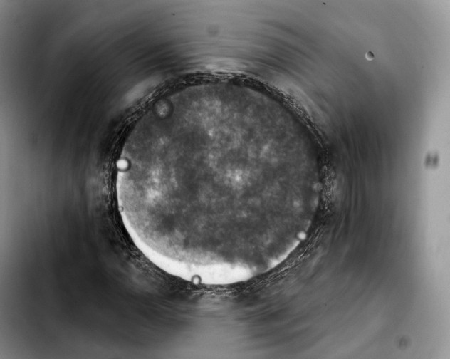 X0000103951110200810101432