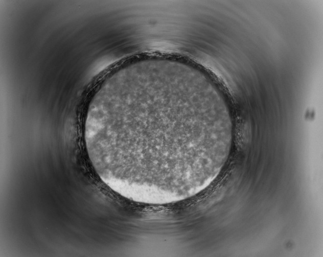 X0000103951112200810101432