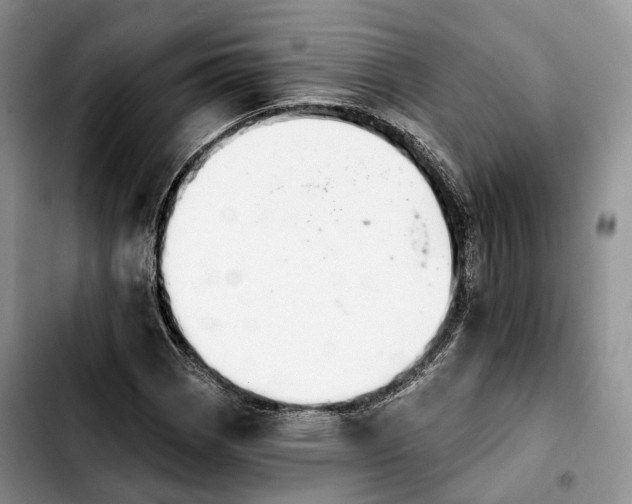 X0000103951113200810101432