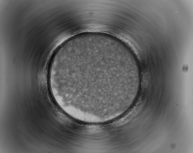 X0000103951114200810101432