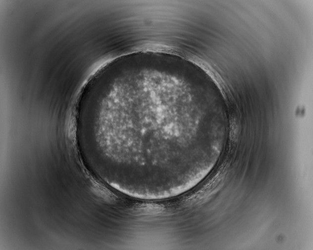 X0000103951115200810101432