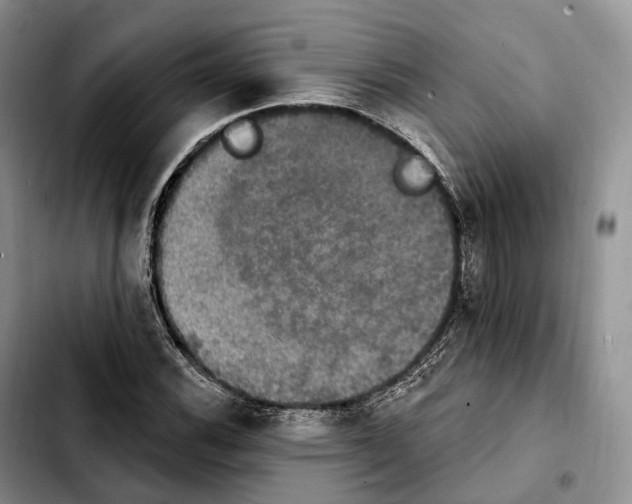 X0000103951116200810101432