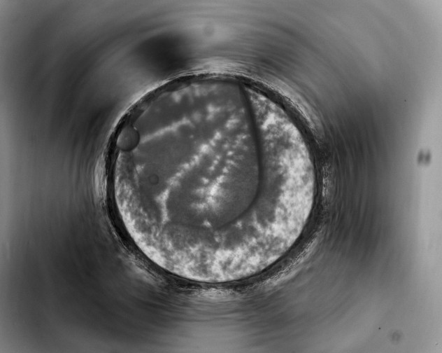 X0000103951117200810101432