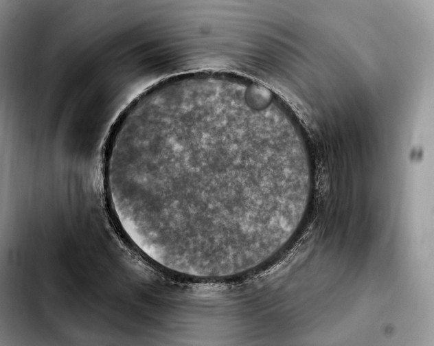 X0000103951118200810101432