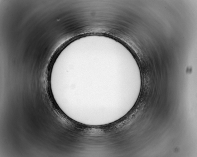 X0000103951119200810101432