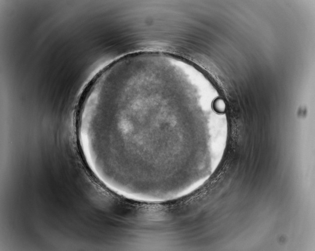 X0000103951120200810101432