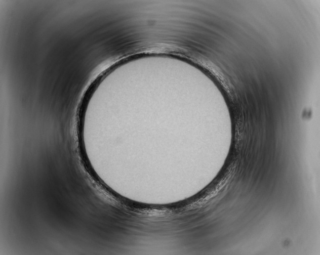 X0000103951122200810101432