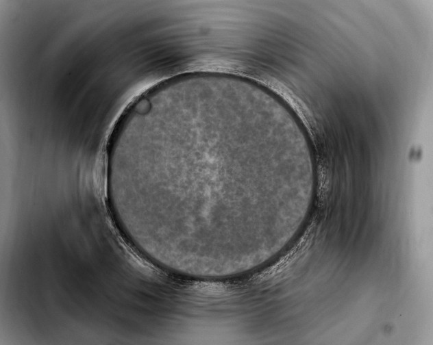 X0000103951123200810101432