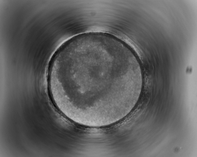 X0000103951124200810101432