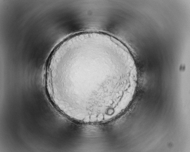 X0000103951126200810101432