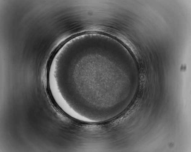 X0000103951127200810101432